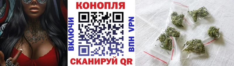 Бошки Шишки Белёв