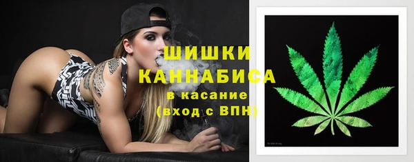 прущие грибы Нефтекумск