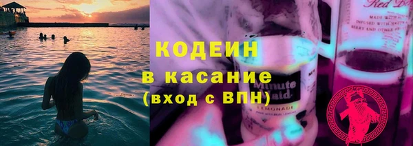 прущие грибы Нефтекумск